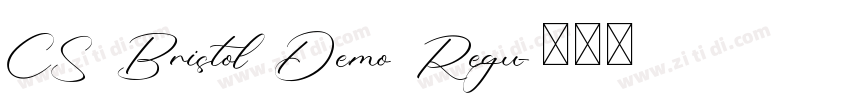 CS Bristol Demo Regu字体转换